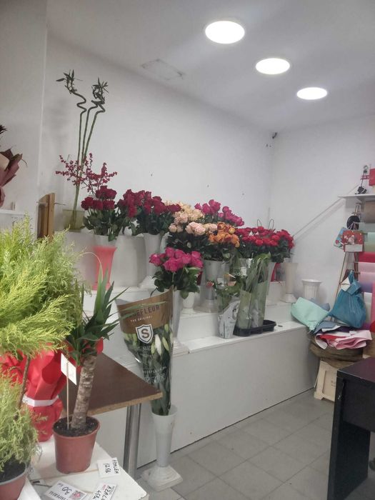 Vand spatiu comercial Gara de nord cu chirias stabil