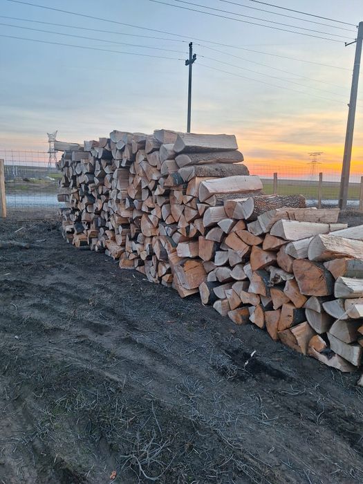 Depozit Vindem Lemn De foc În Jud Cluj