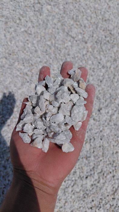 Мазайка мраморний