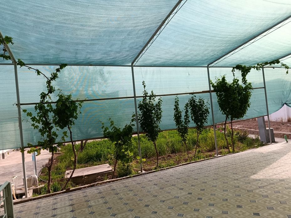 Xovli sotiladi 10sotix