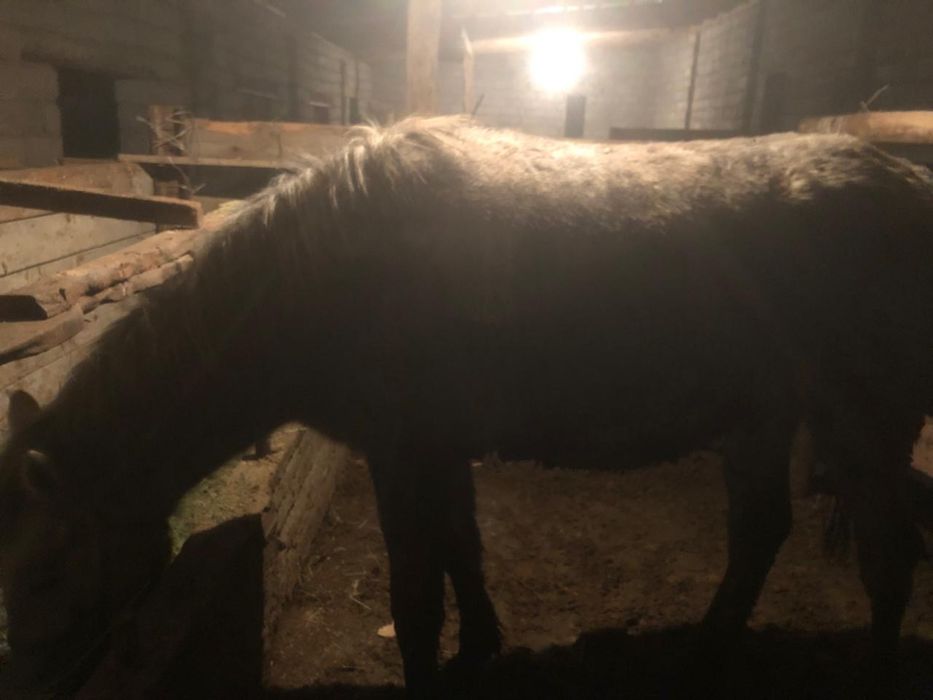 Сатылады.        .