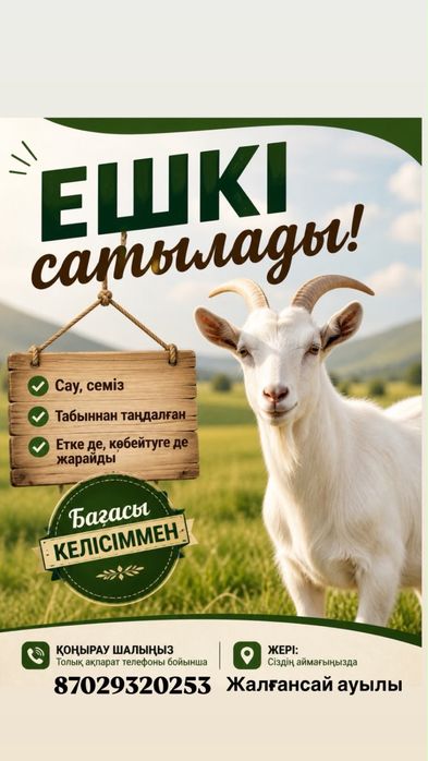 Ешкі, козы, козлы.