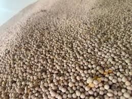 Vând ovăz și mazăre