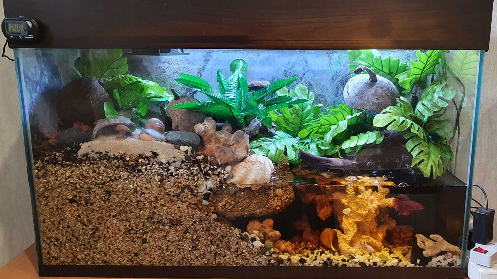 Дизайн аквариума.