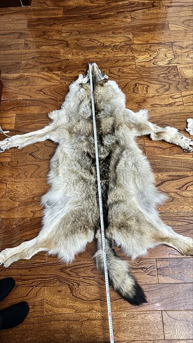 Волк арлан мех натуральный