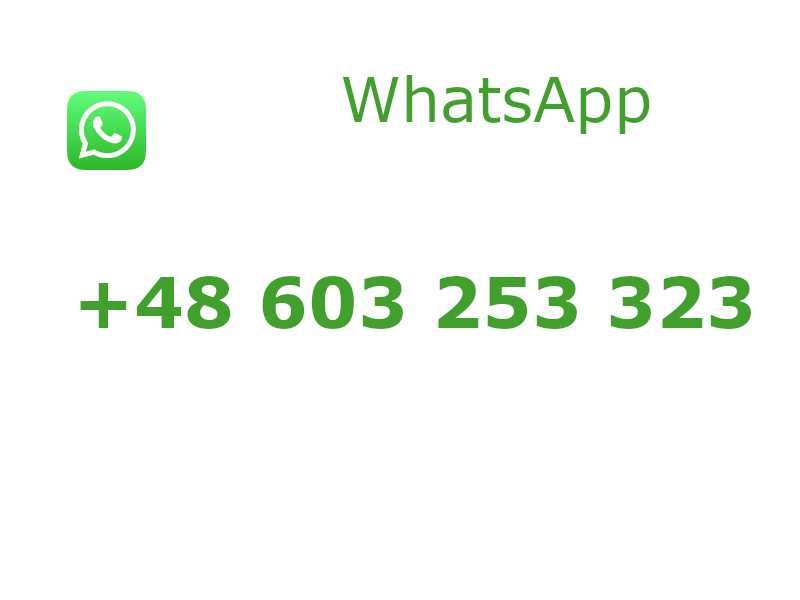 Tuia Smaragd de diferite dimensiuni 100-200cm