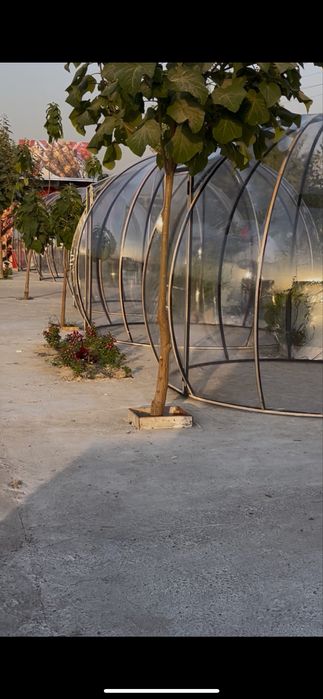 Kupola kupol kapsula