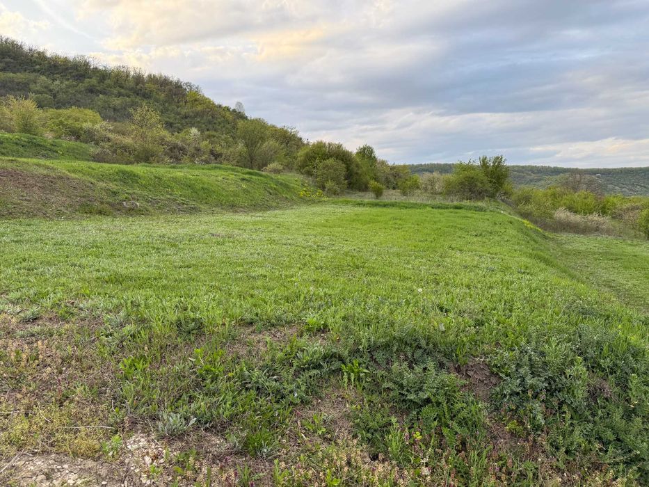 Teren Intravilan Aiud – CARTIER REZIDENȚIAL | sub pădure | 30€/mp | investiție