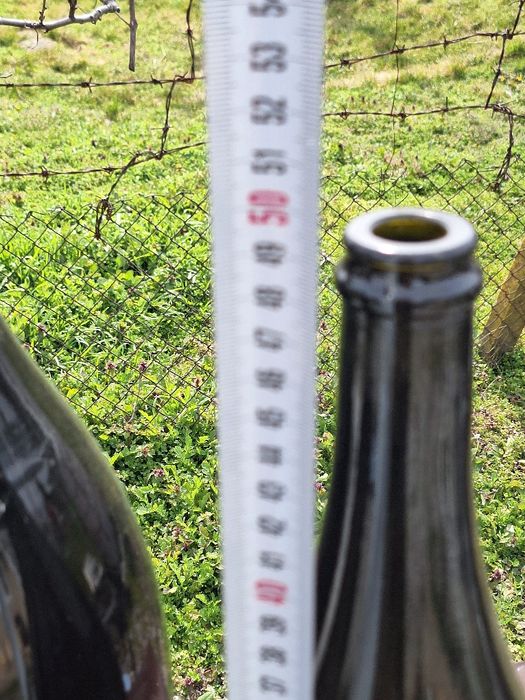 Стари френски бутилки