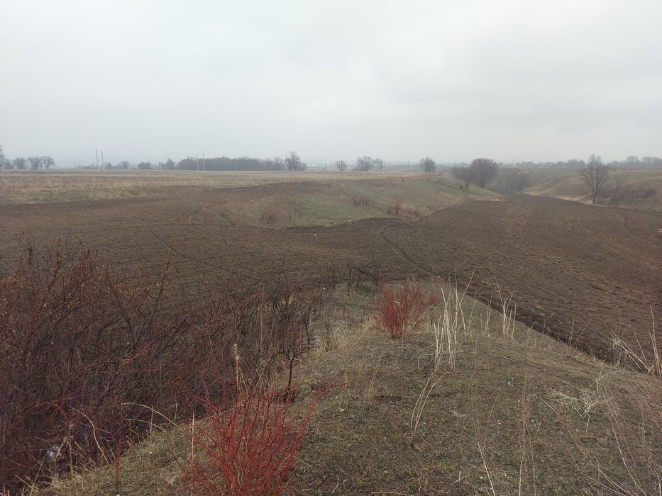 Продам участок в теремки