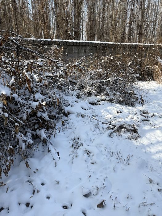 BŌZSUV центр, Зангиота район