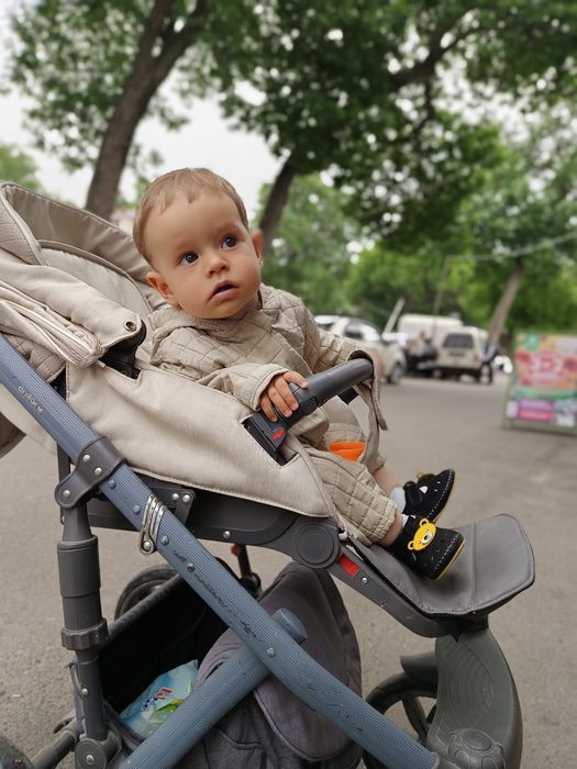 Коляска, люлька, автокресло