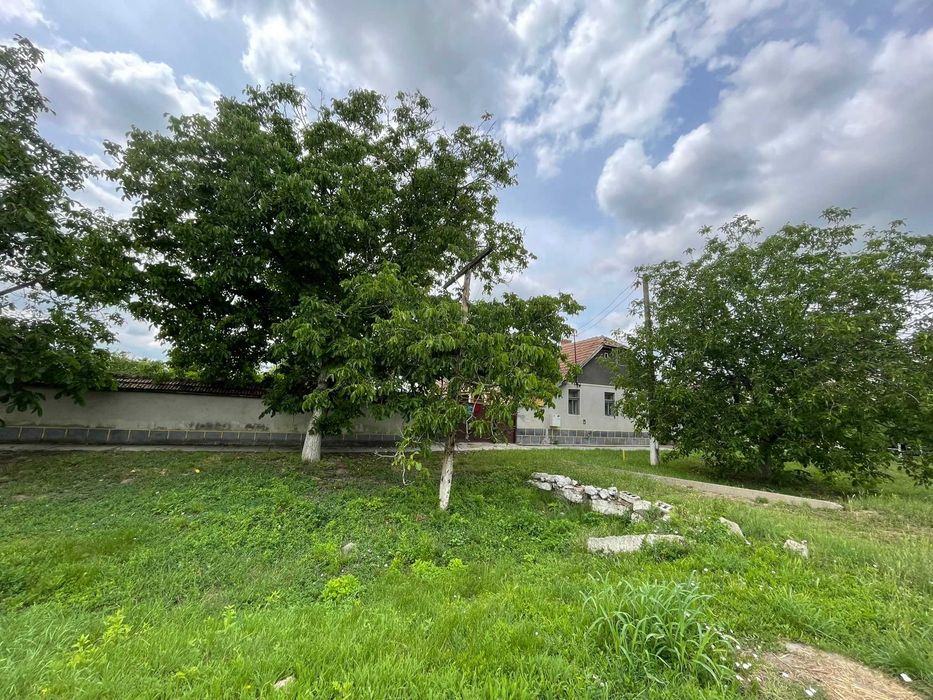Casă la Țară în com Grăniceri ,jud Arad