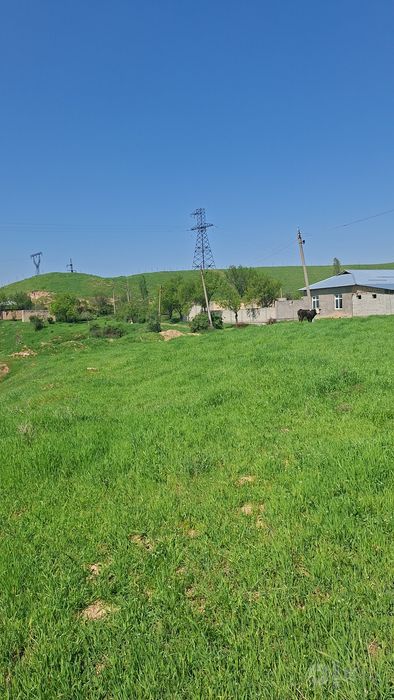 Дача ховли паркент бустон