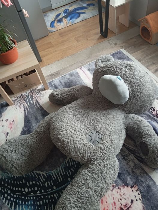 Продам медведя большого