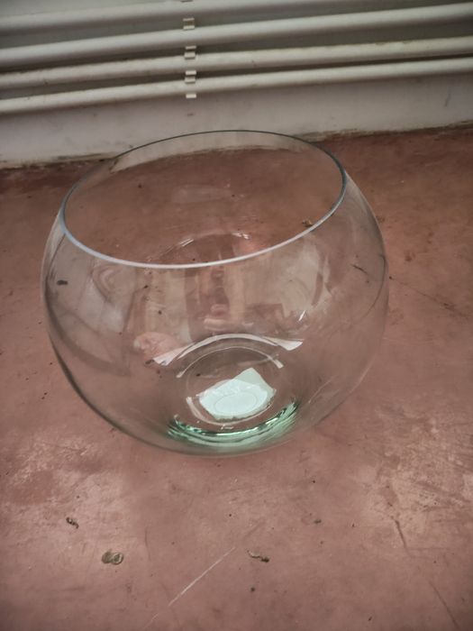 Bol acvariu din sticlă, diametru 25 cm, volum 6 Litri - Pentru pești / decorațiuni
