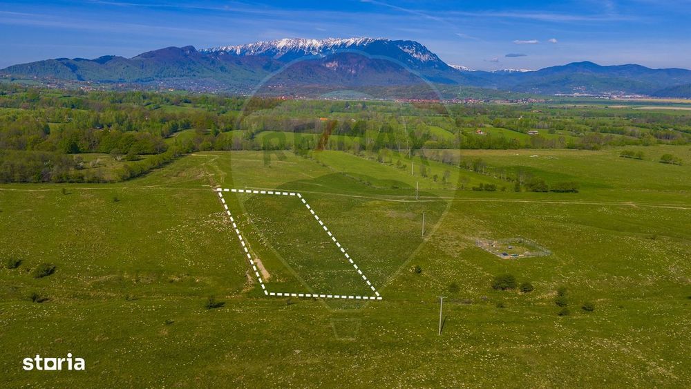 Teren 1ha, extravilan Rasnov / Agricultură sau fermă/ COMISION 0%