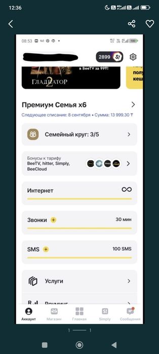 Семейный тариф Билайн