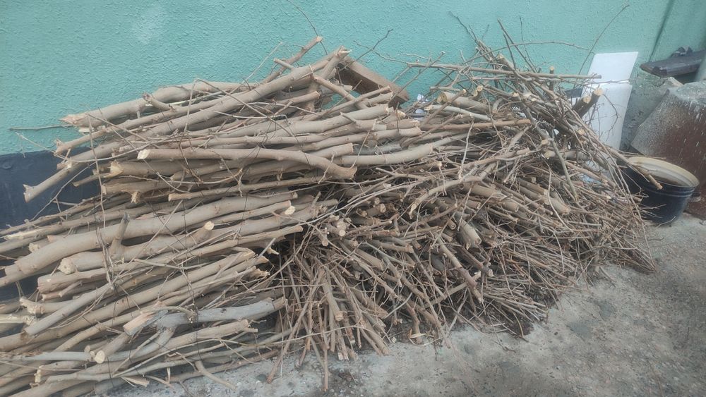 Продаются дрова тутового дерева