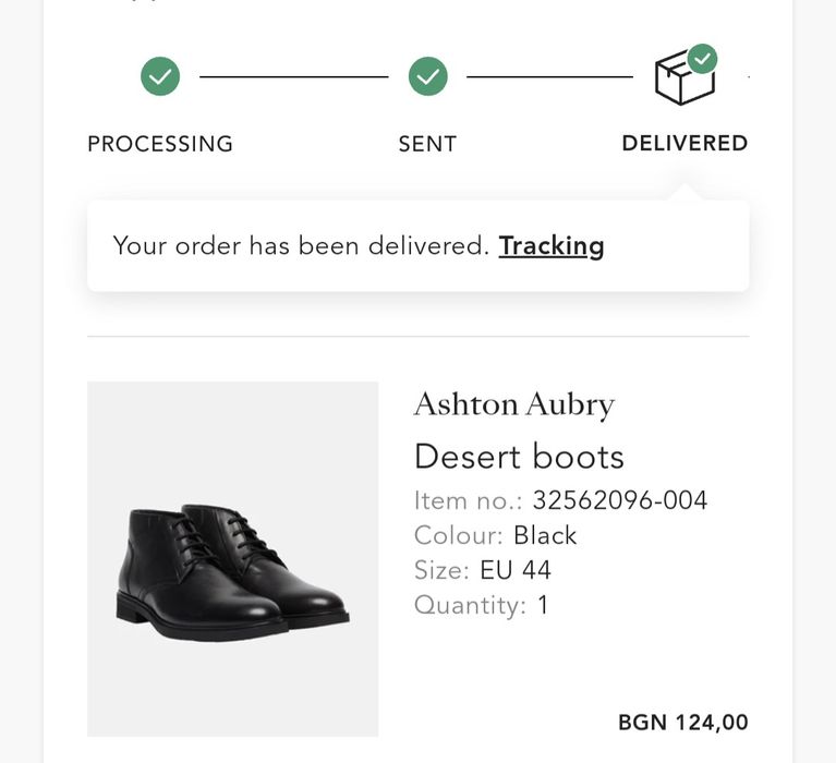 Мъжки боти Ashton Aubry