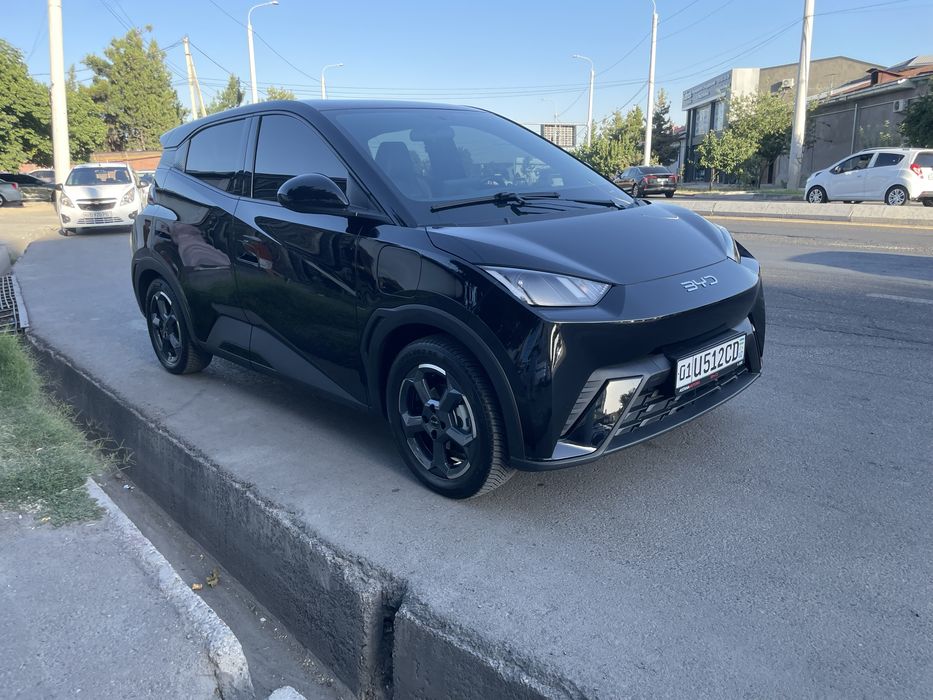 BYD seagull 2024 yil 12900.$