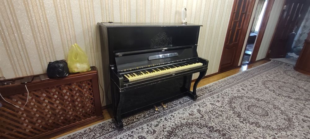Pionina sotiladi xolati yaxshi stochna