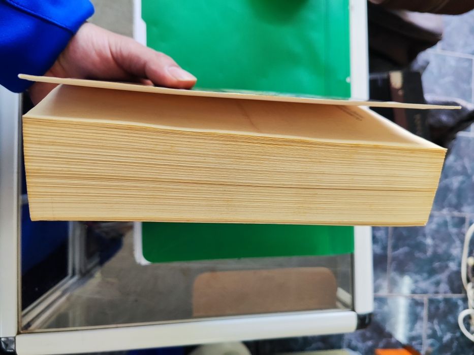 Заклинанието Никол Данева