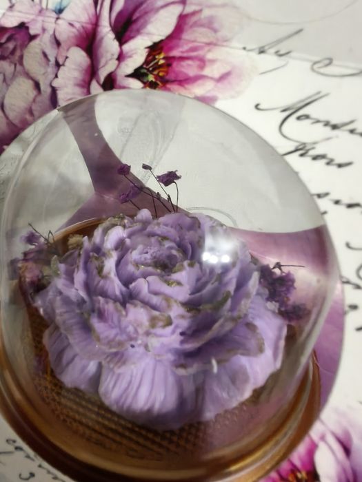 Продам цветок для любимых