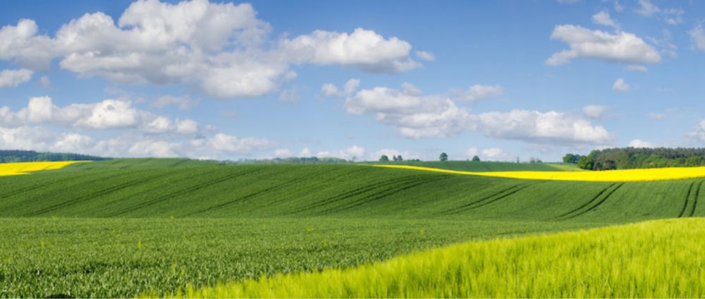 Preluam terenuri in arenda