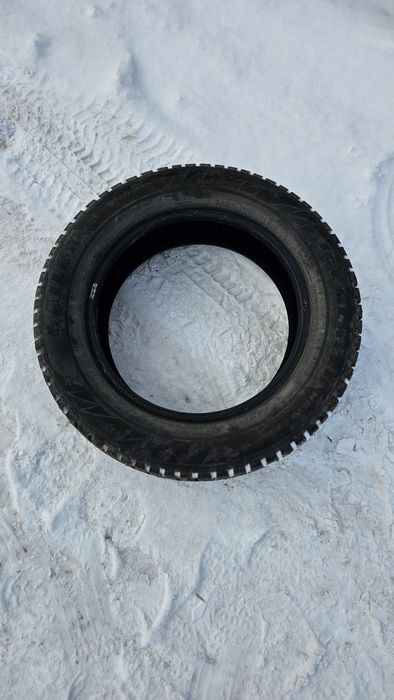 Шины зимние на шипах
