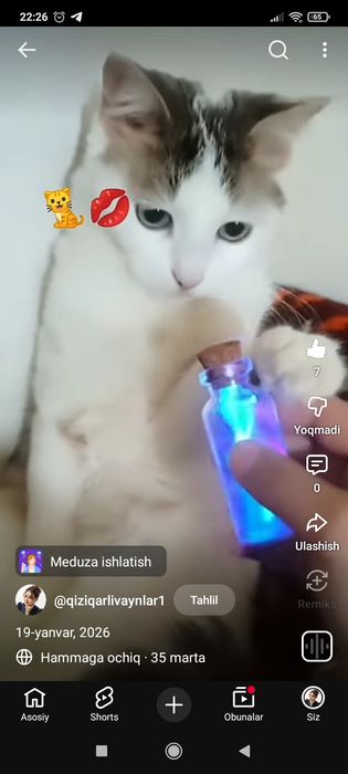 Mushik yoʻqolgan xanqa kata koʻpir yonida topganga mukofot borrrrrrrrr