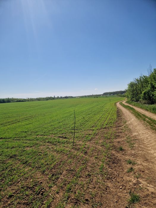 Direct Proprietar