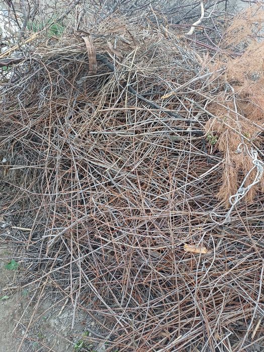 Утин, ишлатилган болор ва каламалар ва чёрный потолок сотилади.