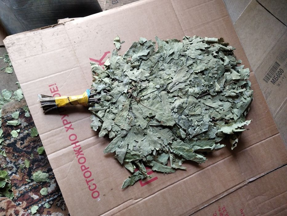 Веники банные берёзовые