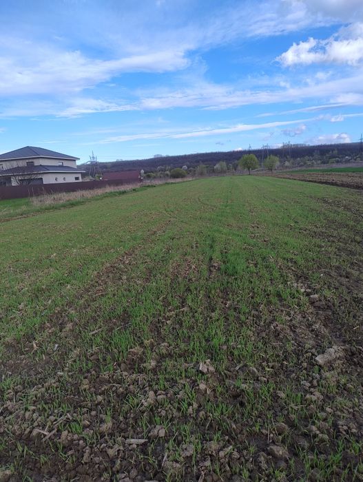 Vând teren intravilan-Moi