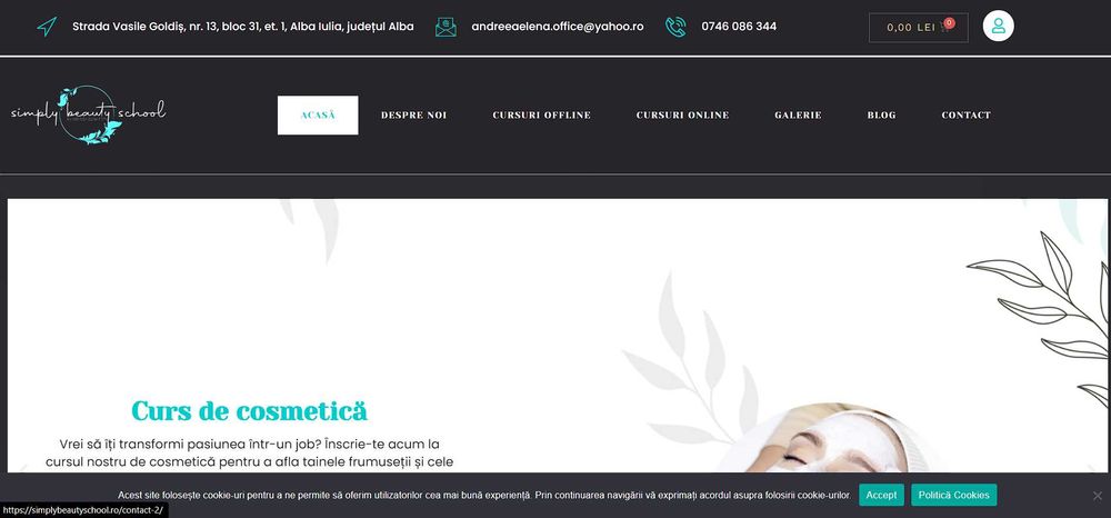Web Site / Magazin Online - Marketing Alba