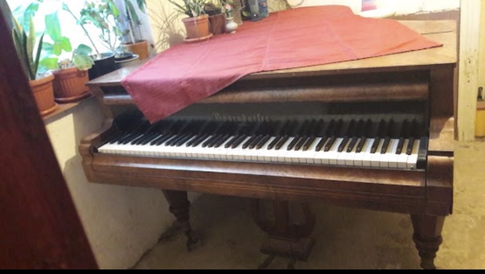 Pian Bösendorfer