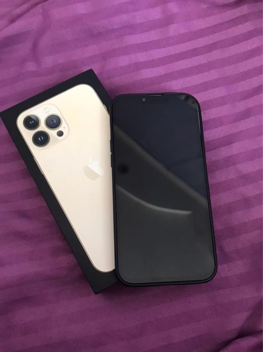 iPhone 13 Pro Max