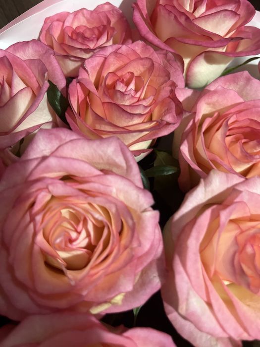 Цветы свежие продается