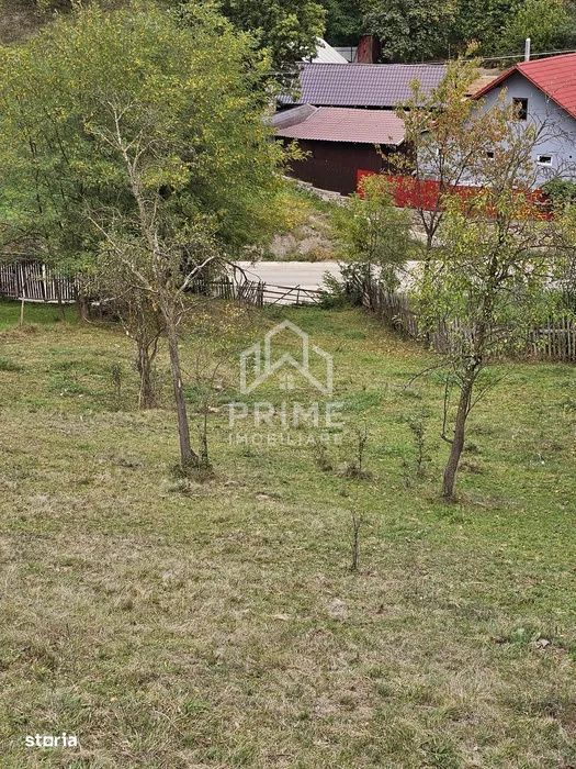 Teren intravilan, 5030 mp, Com. Metes, Sat. Tauti, Jud. Alba