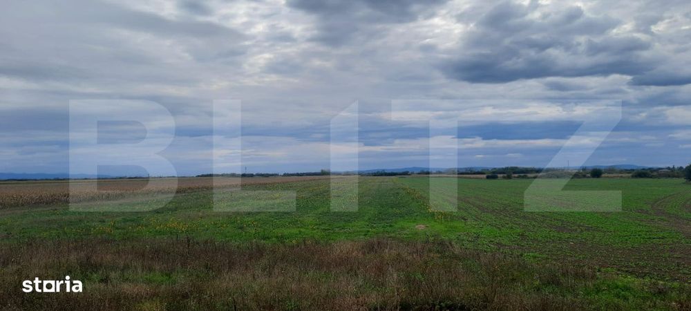 Teren extravilan de vanzare, 21.750 mp, Satu Mare