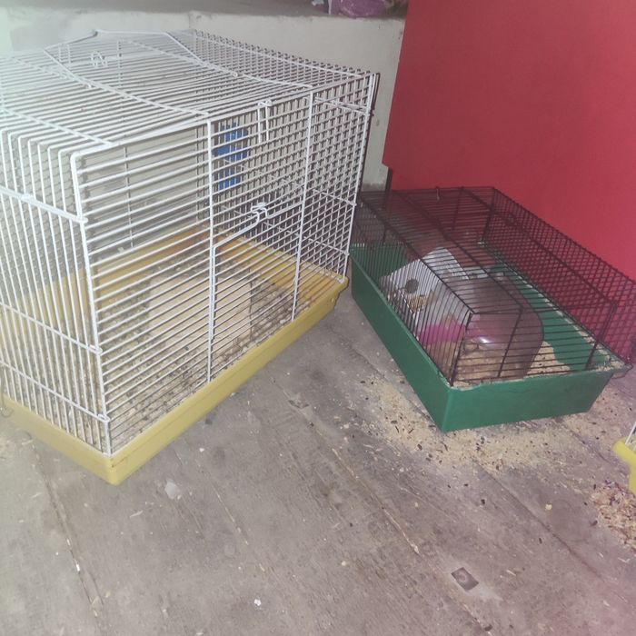 Продается двухэтажный для хомяк за 2500