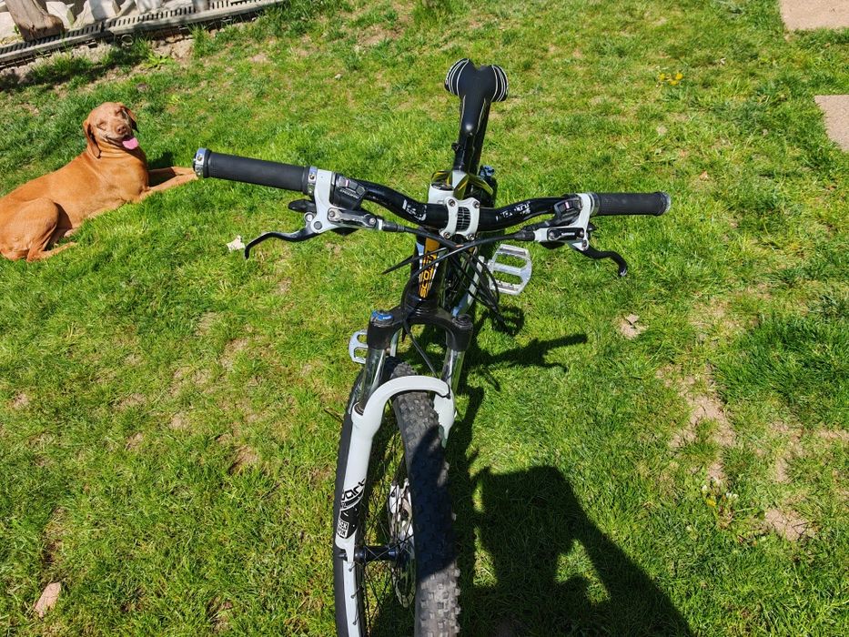 Bicicleta Scott Scale 70