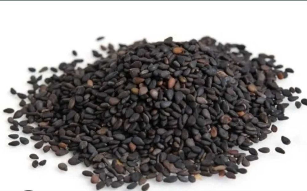 Porno onlayn instets tomosha qiling