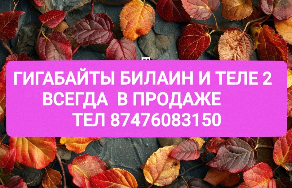 Гигабайты на теле2. и Билаин