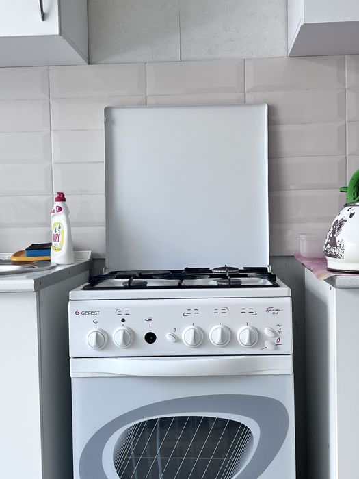 Газовая Электрическая плита