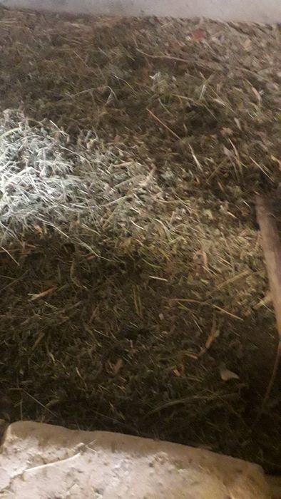 Драбилка сотилади макка пойо беда сомон майдалайди