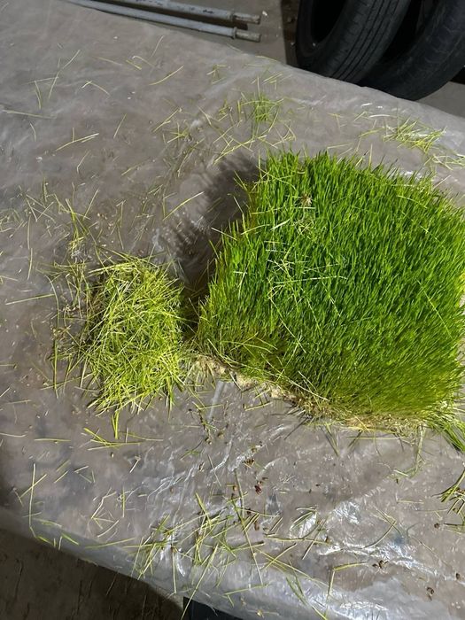 Gidrapolik arzon narxda