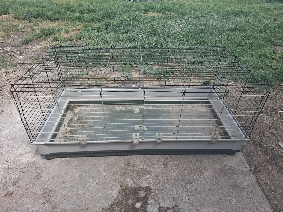 Cusca animale iepuri si altele