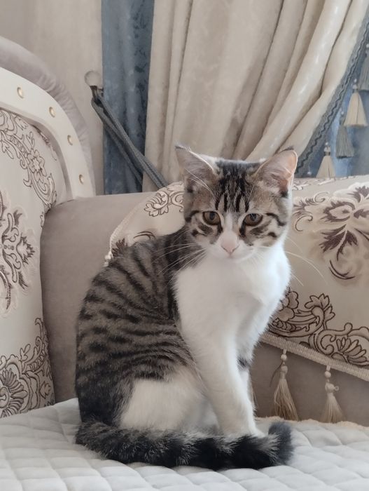 28 март 2023 год